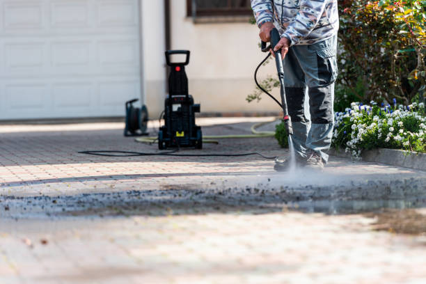 Best Roof Pressure Washing  in Brooklyn Park, MN